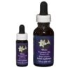 Easter Lily / White Trumpet Lily - Californian FES Flower Essences