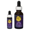 Yellow Star Tulip - Californian FES Flower Essences