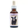 Bear 30ml. Animal Essences