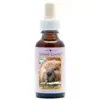 Beaver 30ml。Animal Essences