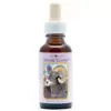 Bighorn Sheep 30ml. Animal Essences