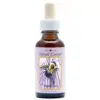 Bumblebee 30ml. Animal Essences
