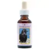 Crow 30ml. Animal Essences