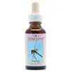Dragonfly 30ml. Animal Essences