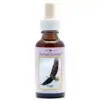 Eagle 30 ml. Animal Essences