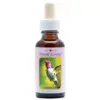 Hummingbird 30ml. Animal Essences