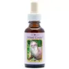 Otter 30ml. Animal Essences