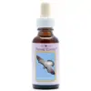 Peregrine Falcon 30ml. Animal Essences