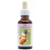 Robin 30ml. Animal Essences