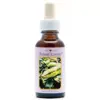 Snake 30ml. Animal Essences