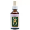 Spider 30ml. Animal Essences