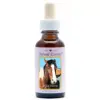 Wild Horse 30ml. Animal Essences