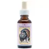 Wild Turkey 30ml. Animal Essences