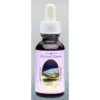 Electrical Essence / Elektromos angolna 30ml. Animal Essences